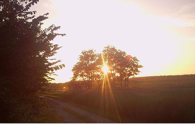 Sonne_Landschaft